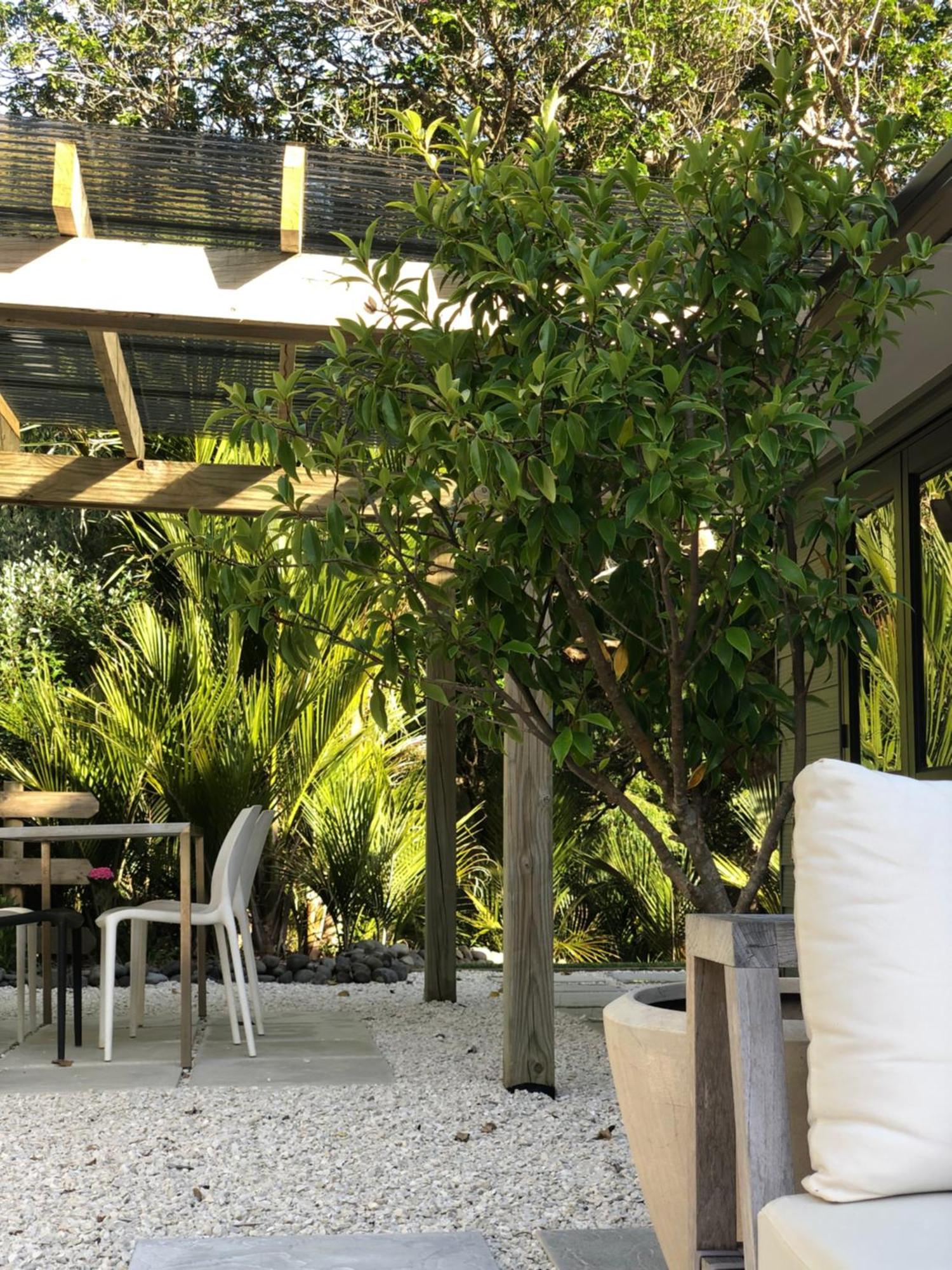 Villetta - Matakana Boutique Luxury Accommodation Exterior foto